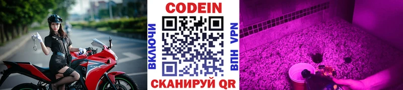 Кодеин напиток Lean (лин)  Купить закладки  Данилов 