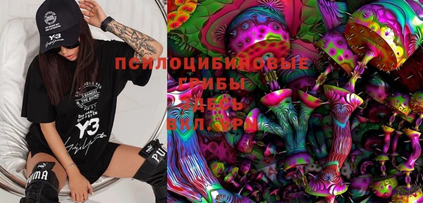дживик Белокуриха