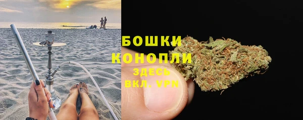 дживик Белокуриха