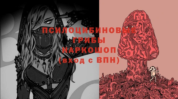 дурь Богданович