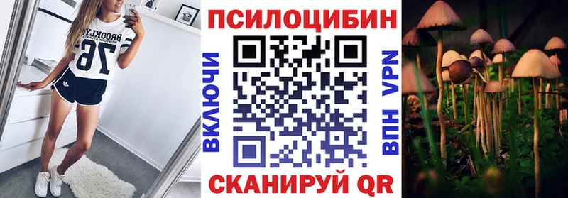 Купить где  Данилов  Псилоцибиновые грибы GOLDEN TEACHER 